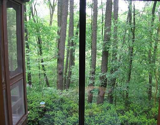 2nd image of 8400 Pinecross Ln
