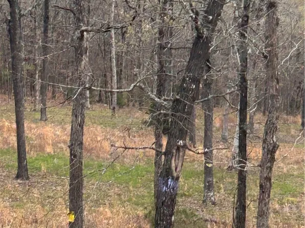 6563 E Madison Dr #2340-26-30, Fayetteville, AR 72701