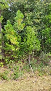 0 Laslie St, Tuskegee, AL, 36083