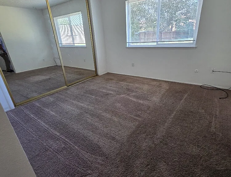 10020 Biscanewoods Way — Photo 10