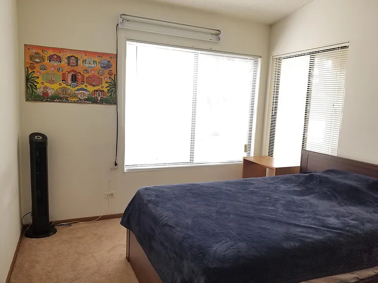1801 Appaloosa Dr — Photo 8