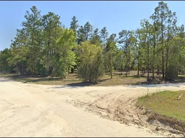 TBD NE 12TH STREET LOT 1, WILLISTON, FL 32696