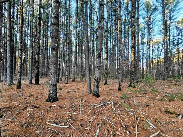 Lot 73 13th Avenue, Wisconsin Dells, WI 53965