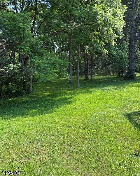 1st image of 17 Butternut Dr