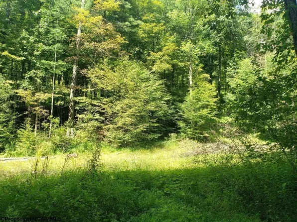 100 Steve Rosier Rd, Parsons, WV 26287