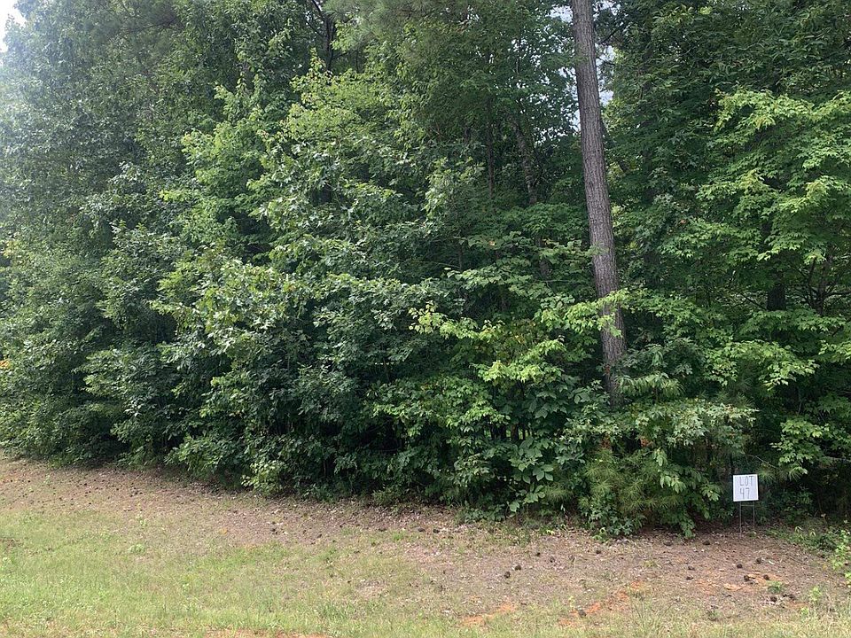 2nd image of LOT 47 Goose Ln Lot 47