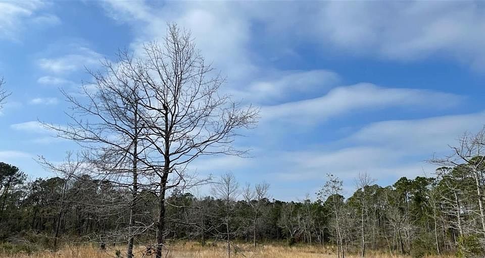 2nd image of 10765 Mary Ann Beach Rd #7