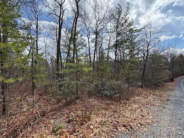 2nd image of LOT 45 Fetterbush Ln
