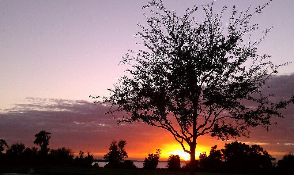 MASTER BEDROOM BALCONY VIEW