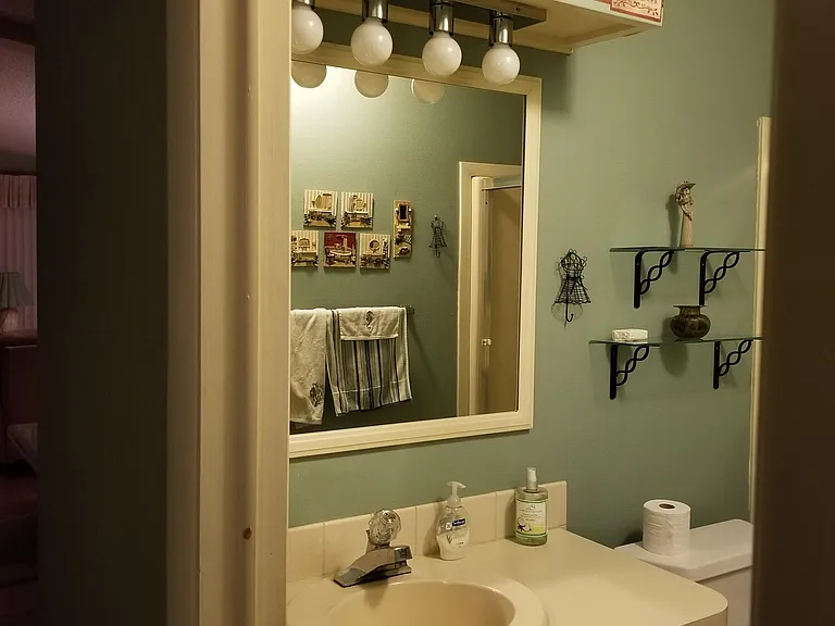 Guest bathroom