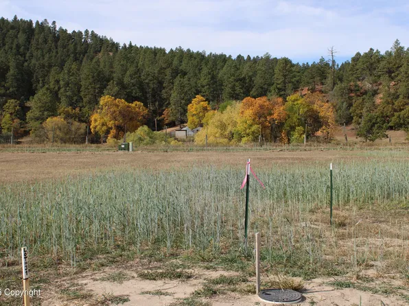 LOT 31 Red Devil Dr, Hulett, WY 82720