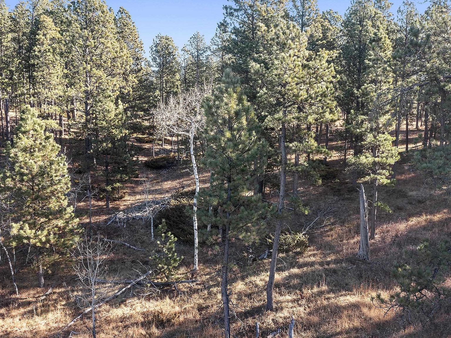 180 Quarry Rd, Four Corners, WY 82715 Zillow