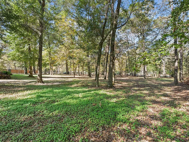 11085 Jake Pearson Rd — Photo 47