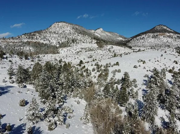 175 Bear Cub Hollow, South Fork, CO 81154