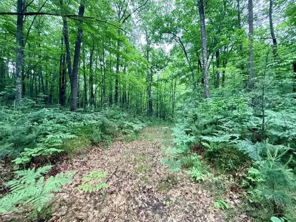 (undisclosed Address), Hayward, WI 54843