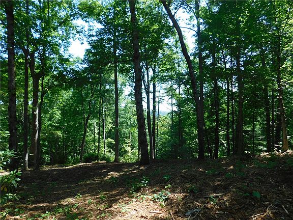 3rd image of LOT 93 Woodlake Way