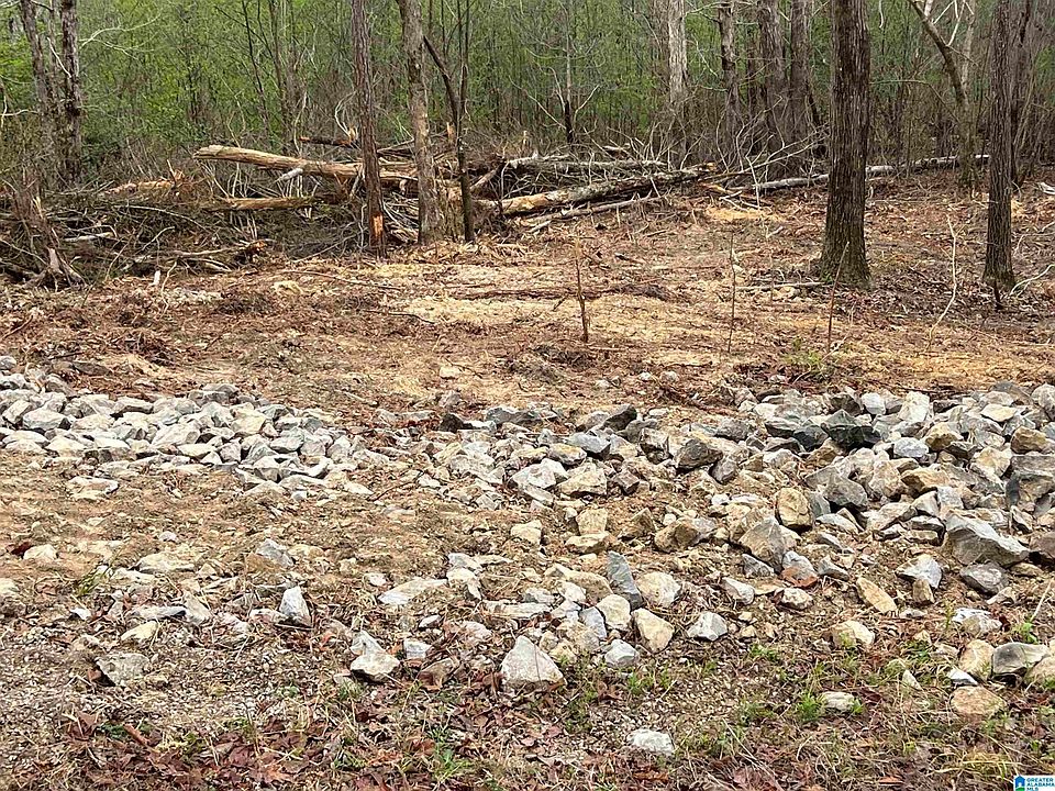 2nd image of Lakeshore Dr