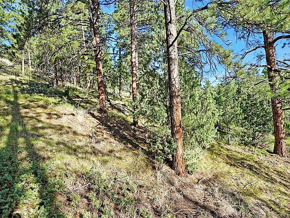 5th image of Bob Cat Trail