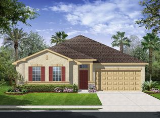 16109 Courtside View Dr, Lithia, FL 33547