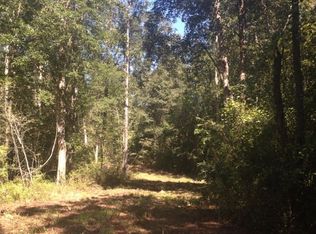 0 Odessa Dr, Carriere, MS 39426