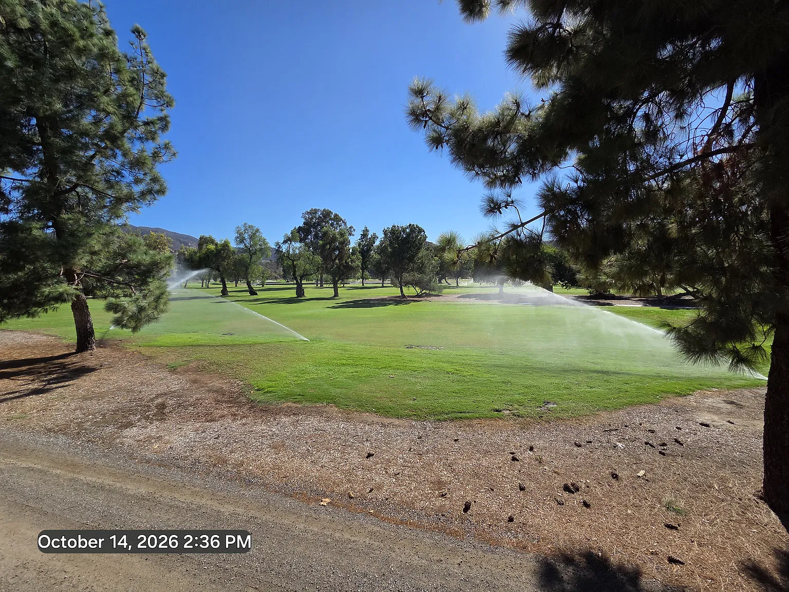 2 bed, 1371 sqft, $2,695 — Photo 4