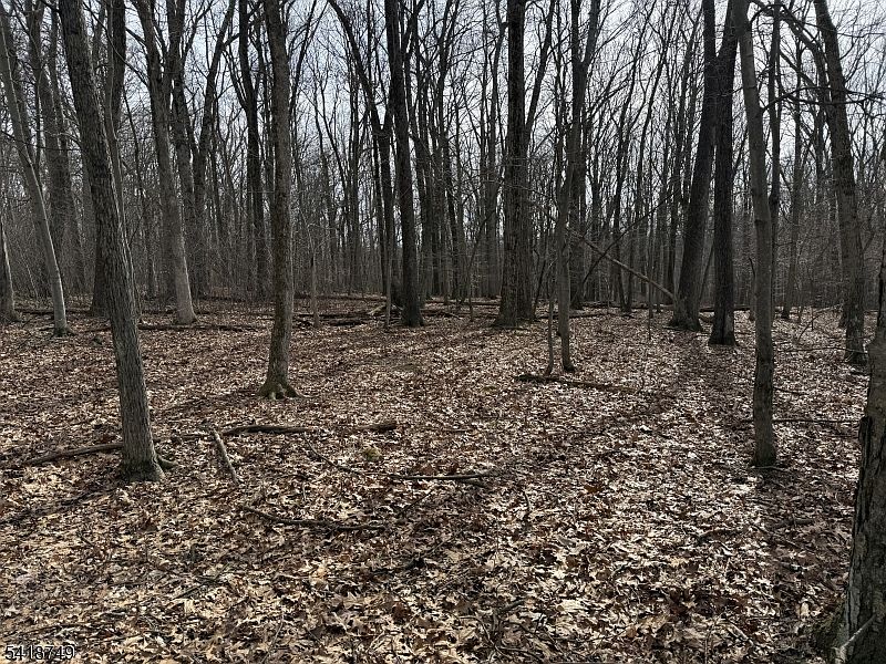 2nd image of 162 North Rd