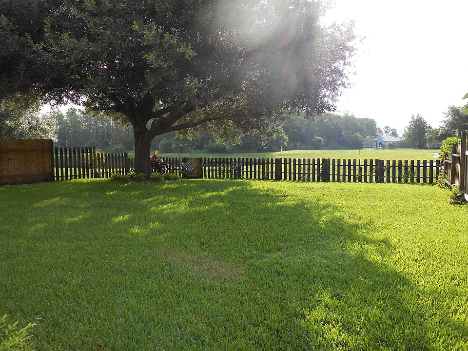 Beautiful backyard!