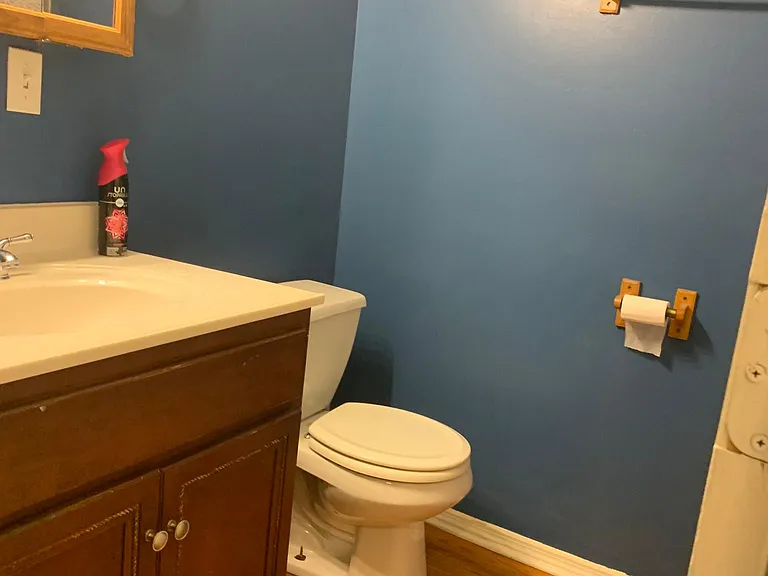 1016 W Cullerton St #1RB — Photo 9