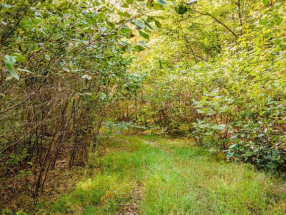 3rd image of Bandy Rd