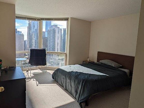 5th image of 195 N Harbor Dr APT 3407