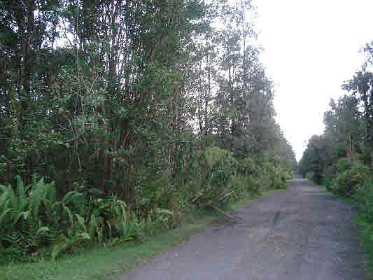 2nd image of Road 4