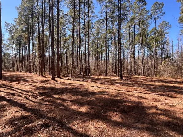 0 Goose Bay Rd., Loris, SC 29569