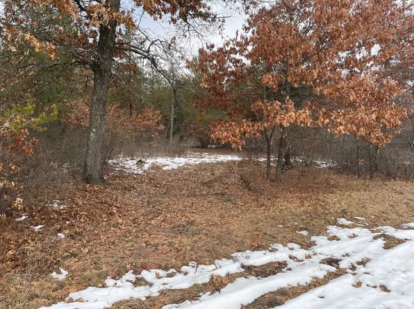 L36 Halls Point Rd, Necedah, WI 54646