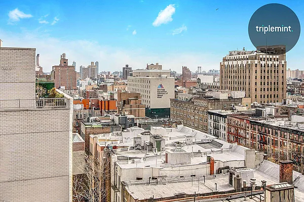 Rented by Triplemint | media 4