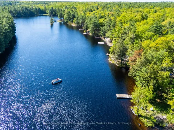 299 Nine Mile Lake Shr, Muskoka Lakes, ON P0C 1M0