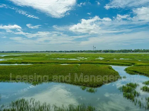242 Little Oak Island Dr, Folly Beach, SC 29439