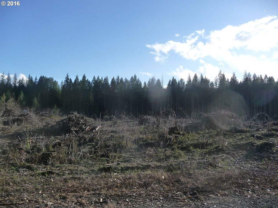 2nd image of Hemlock Rd #2