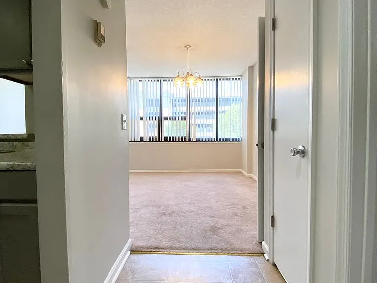 1100 Wheat St #411 — Photo 9
