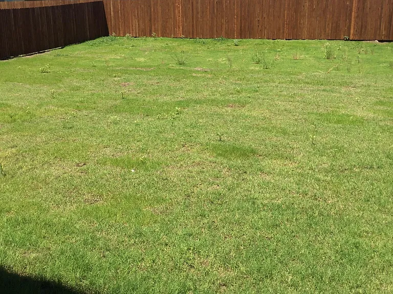 1045 Spanish Needle Trl — Photo 7