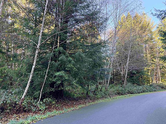 5th image of Bell Hole Loop Lot 17