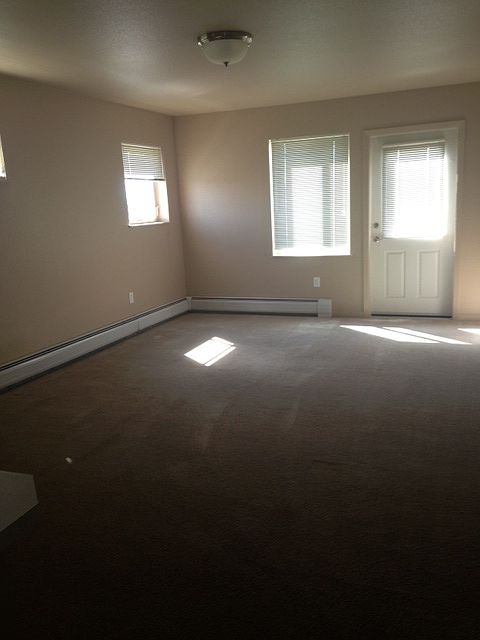 Natural light through out the living room and back door to p
