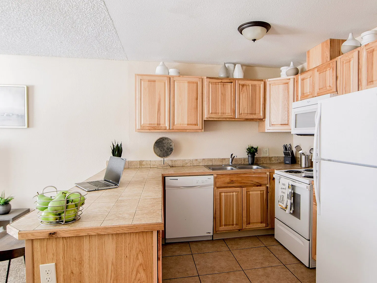 ReNew Evergreen — Photo 1