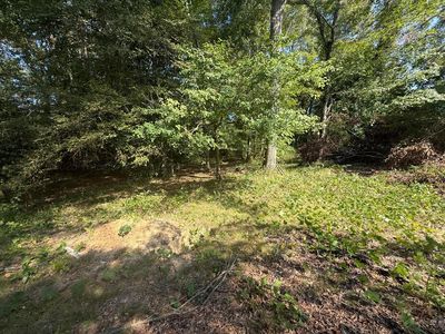 Lamon Chapel Loop, Jasper, AL, 35503