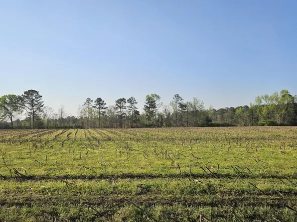 0 Shiloh Rd, Greensboro, GA 30642