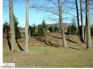 2356 Tower Hill Rd, Houghton Lake, MI 48629