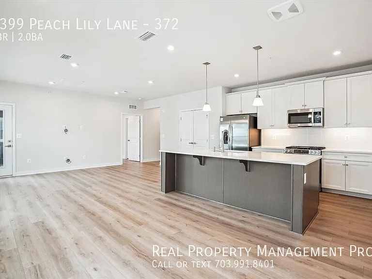 4399 Peach Lily Ln #372 — Photo 9