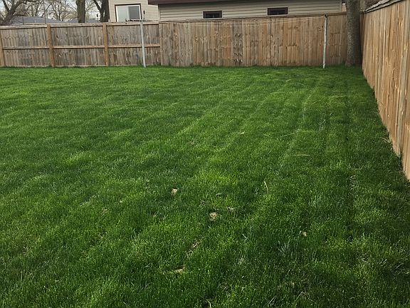 Great yard - time to play