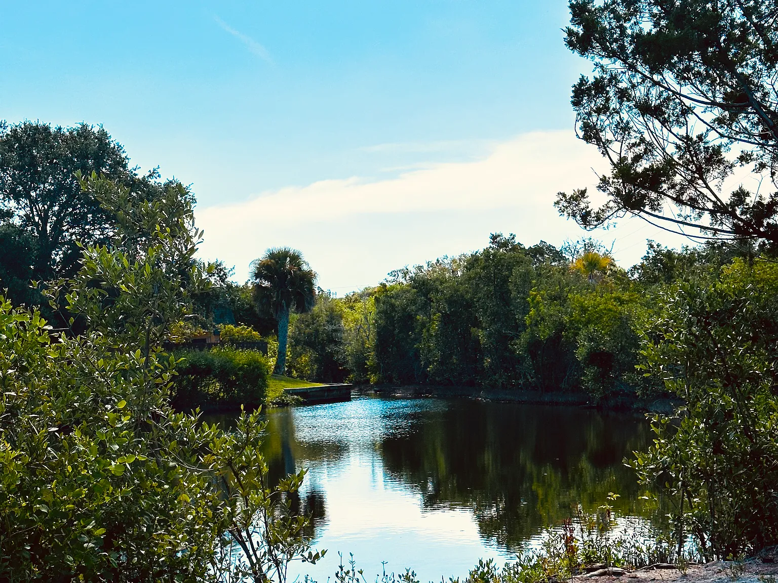 115 Cedar Dunes Dr — Photo 4