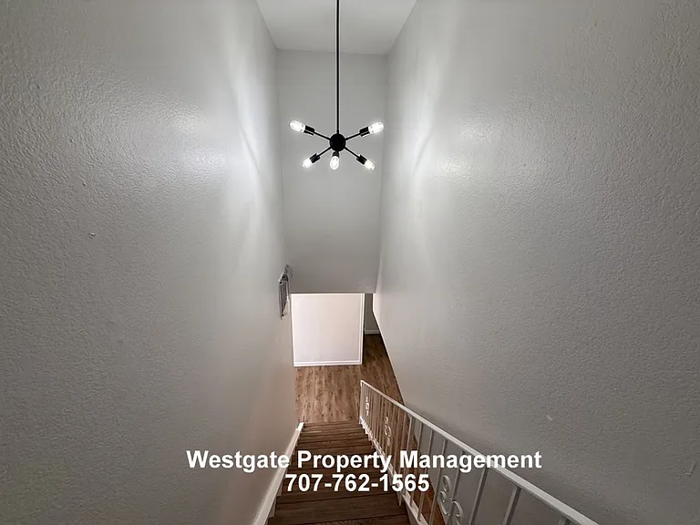4367 Gloria Ct — Photo 16