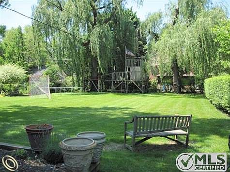 Back yard